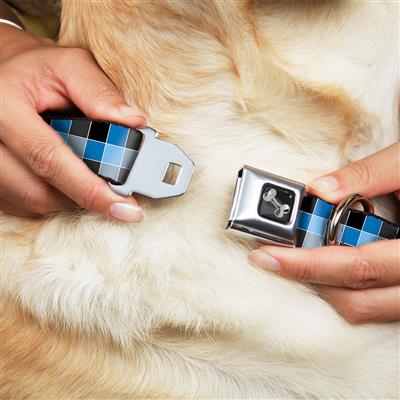 Dog Bone Black/Silver Seatbelt Buckle Collar - Checker Mosaic Blue