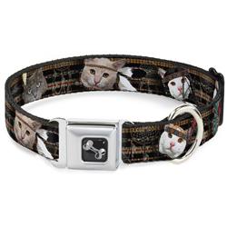 Dog Bone Black/Silver Seatbelt Buckle Collar - Dream Catcher Cats