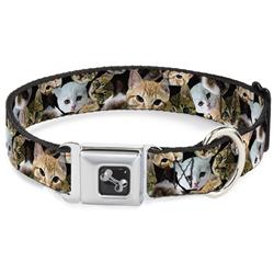Dog Bone Black/Silver Seatbelt Buckle Collar - Kitten Faces Scattered Black