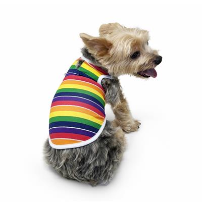 Rainbow Tank