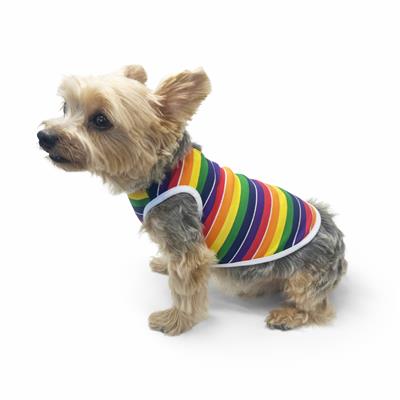 Rainbow Tank