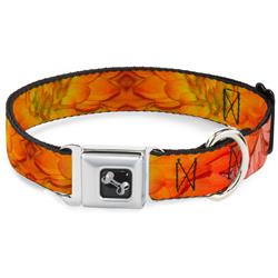 Dog Bone Black/Silver Seatbelt Buckle Collar - Vivid Floral Collage Orange-Pinks