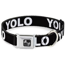 Dog Bone Black/Silver Seatbelt Buckle Collar - YOLO Black/White