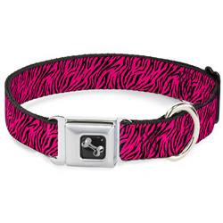 Dog Bone Black/Silver Seatbelt Buckle Collar - Zebra 2 Fuchsia Pink