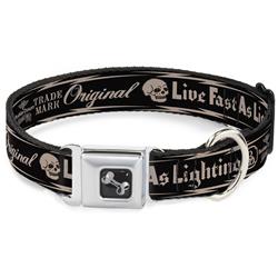 Dog Bone Black/Silver Seatbelt Buckle Collar - Buckle-Down Skull LIVE FAST AS LIGHTNING Black/Light Orange