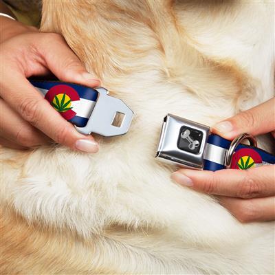 Dog Bone Black/Silver Seatbelt Buckle Collar - Colorado Flag/Marijuana Leaf