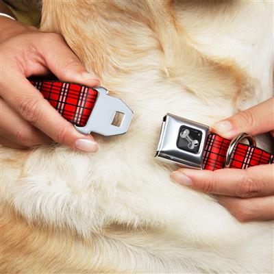 Dog Bone Black/Silver Seatbelt Buckle Collar - Plaid Red