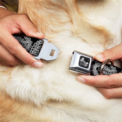 Dog Bone Black/Silver Seatbelt Buckle Collar - Paisley2 Black/White