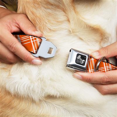 Dog Bone Black/Silver Seatbelt Buckle Collar - Plaid X4 Oranges/White