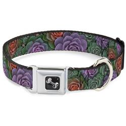Dog Bone Black/Silver Seatbelt Buckle Collar - Succulents Stacked Green/Pink/Orange