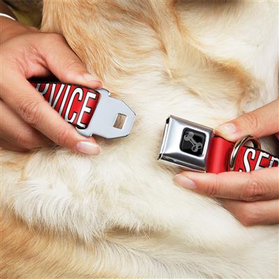 Dog Bone Black/Silver Seatbelt Buckle Collar - SERVICE DOG Red/Black/White