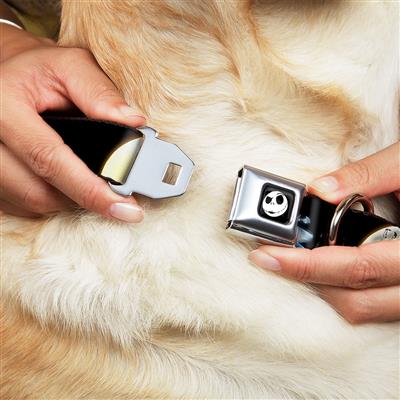 Jack Expression2 Full Color Seatbelt Buckle Collar - Nightmare Before Christmas Jack & Sally Moon Scenes