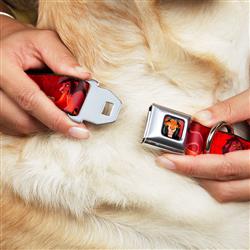 Extra Product Image