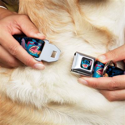 Stitch Smiling Full Color CLOSE-UP Seatbelt Buckle Collar - Stitch Snacking Poses Black/Blue