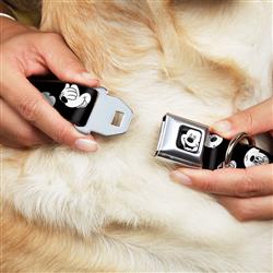 Extra Product Image