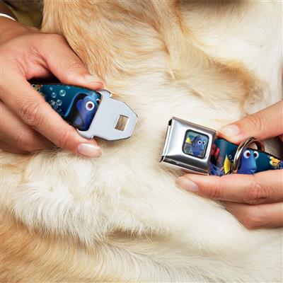 Dory Pose Full Color Seatbelt Buckle Collar - Dory Poses & Friends Under the Sea
