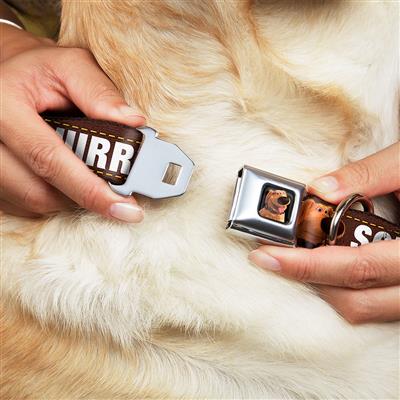 Dug Tongue Out Pose Full Color Black Seatbelt Buckle Collar - Dug 3-Poses/SQUIRREL! Brown/Yellow/White