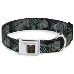 ALICE THROUGH THE LOOKING GLASS Logo Full Color Black/Gold Seatbelt Buckle Collar - Cheshire Cat 4-Poses Checkers Teal/Black