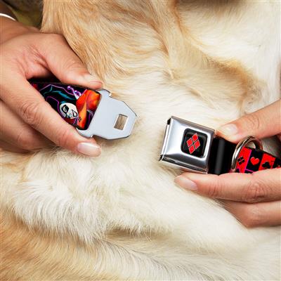 Harley Quinn Diamond Full Color Black/Red Seatbelt Buckle Collar - HARLEY QUINN Bomb Poses/Suits Black/Purple/Red