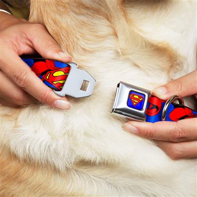 Superman Blue Seatbelt Buckle Collar - Superman Shield w/Cape