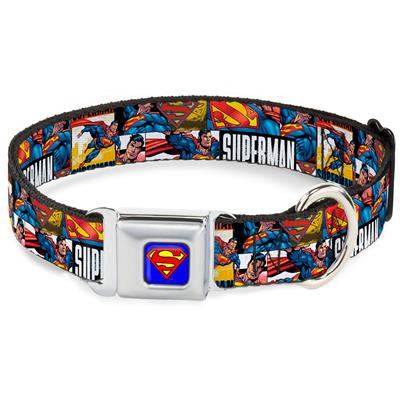 Superman Blue Seatbelt Buckle Collar - SUPERMAN Action Blocks White