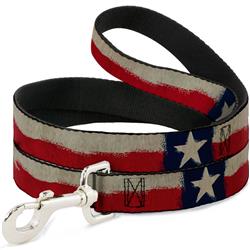 Dog Leash - Texas Flag CLOSE-UP Distressed Painting