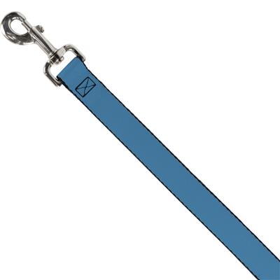 Dog Leash - Vivid Turquoise