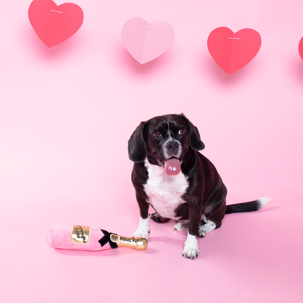 Champagne Kisses Plush Dog Toy