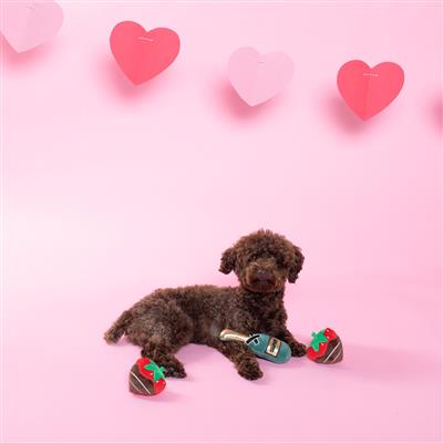 Champagne And Strawberries Small Plush Dog Toys Set Of 3