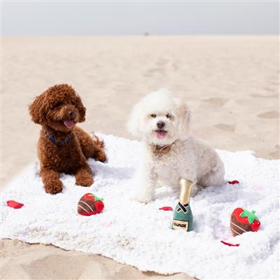 Champagne And Strawberries Small Plush Dog Toys Set Of 3