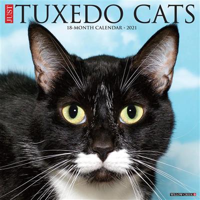 Tuxedo Cats 2021 Wall Calendar