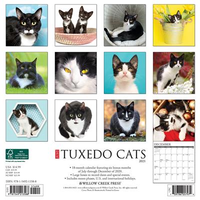 Tuxedo Cats 2021 Wall Calendar