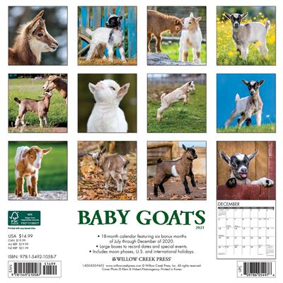 Baby Goats 2021 Wall Calendar