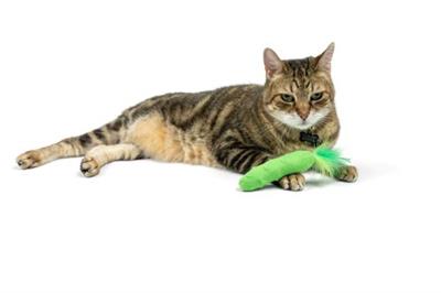 Pickle Plush Cat Toy