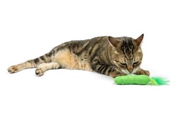 Pickle Plush Cat Toy