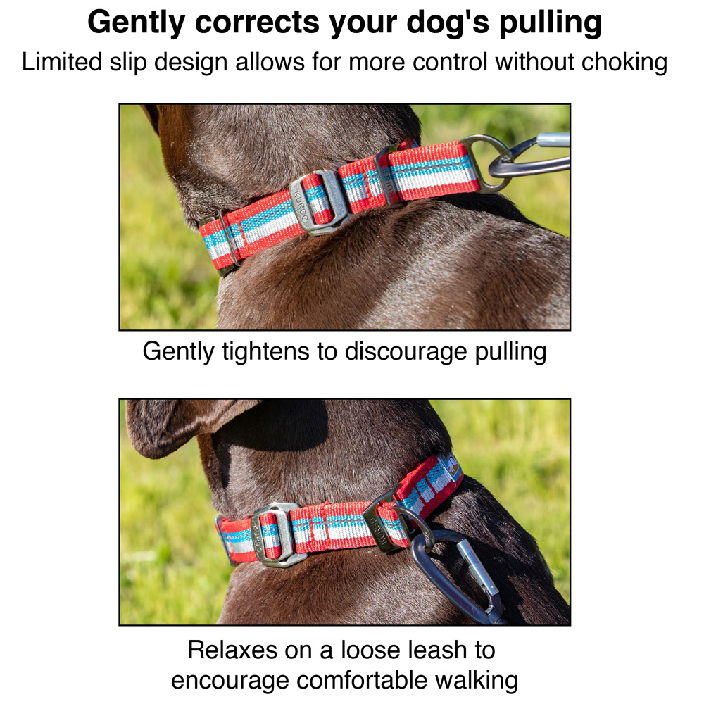 Walk About Limited Slip Collar