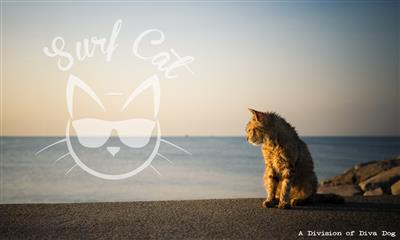 Tudor Tabby Cat Collar