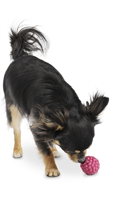 Orbee-Tuff® Raspberry