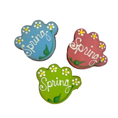 Spring Paws - Tray of 12