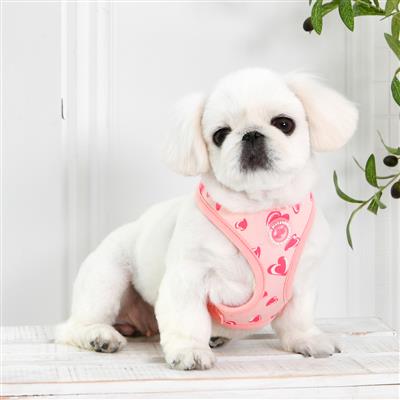 Loveday Harness by Pinkaholic®