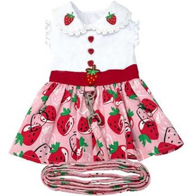 Strawberry Picnic Dress with Matching Leash