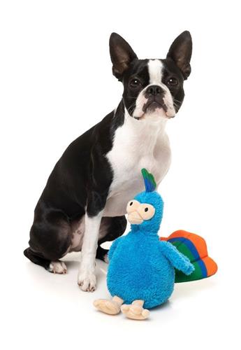 Showboat the Peacock - Neighborhood Nasties Dog Toy