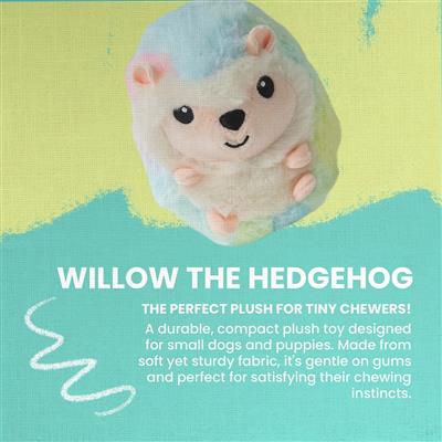 Willow the Hedgehog