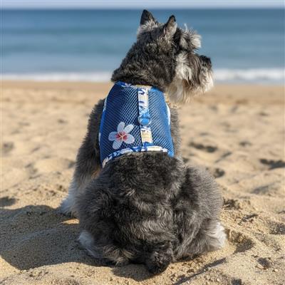 Cool Mesh Dog Harness with Leash - Catching Waves