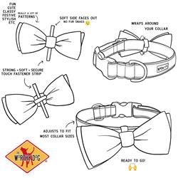 Extra Product Image