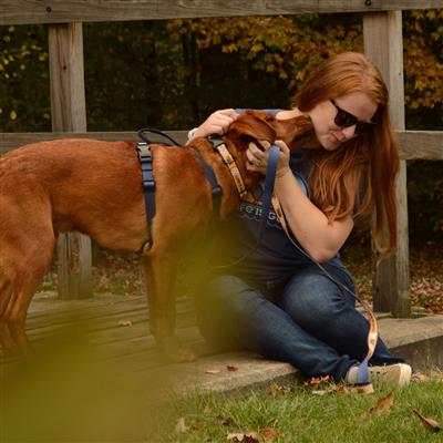 Life is Good® Yellow Good Vibes Canvas Overlay Dog Harness