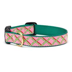 Coral Gables Dog Collars, Leads, & Harnesses