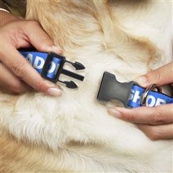 Extra Product Image