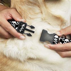 Extra Product Image