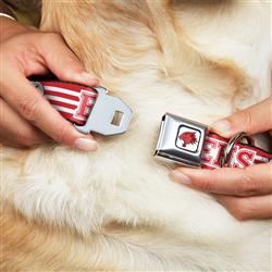 Extra Product Image